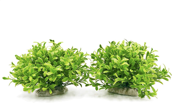 BEGONDIS Aquarium Decorations, Fish Tank Artificial Green Water Plants Safe for All Fish & Pets
