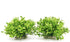 BEGONDIS Aquarium Decorations, Fish Tank Artificial Green Water Plants Safe for All Fish & Pets