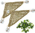 Tfwadmx 3 Pack Bearded Dragon Hammock - Natural Seagrass Fibers for Lizards, Geckos, Anoles, Iguanas, Hermit Crabs
