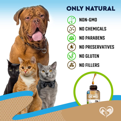 Natural Broad Spectrum Treatment for Cats & Dogs, Herbal Medicine to Remove Parasites & Toxins, Probiotic Drops