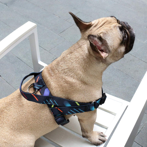 iChoue French Bulldog Harness - Adjustable Padded Locked Buckle with Handle for Frenchie, Pug, English, Boston Terrier