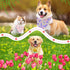 30 Summer Pcs Spring Dog Bandanas Bulk Floral Pet Scarves Bibs Adjustable Puppy Bandanas Girl Washable Flower Puppy