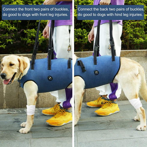 Coodeo Dog Lift Harness, Adjustable Padded Support Sling for Old & Disabled Dogs, Breathable Straps (Blue, L)