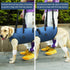 Coodeo Dog Lift Harness, Adjustable Padded Support Sling for Old & Disabled Dogs, Breathable Straps (Blue, L)