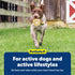PetSafe Busy Buddy Squeeze Meeze - Fun Turkey Latex Dog Toy for Light Chewers