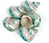 5PC Green Turbo Banded Shells, Hermit Crab Supplies for Decor, 1.5"~2" Inch