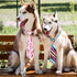 Segarty 30 PCS Adjustable Dog Neckties and Bows for Medium Large Dogs, Festival Formal Accessories