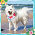 Bulyoou 72 Summer Summer Pcs Dog Bandanas Bulk for Adjustable Washable Pet Triangle Scarf Soft Kerchief Bib for Holiday