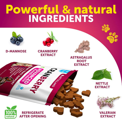 70 Dog UT Treats - Cranberry Chews for Dogs - Urinary Tract & Bladder Support Supplement with Natural Cranberry Extract