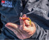 Berkley PowerBait Power Grubs Fishing Soft Bait