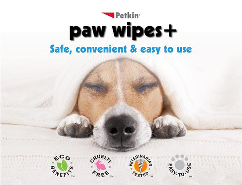 Paw Wipes Plus, 100 Orange Scented Wipes - Absorbent Pet Wipes for Dogs, Cats, Puppies & Kittens, Easy to Use