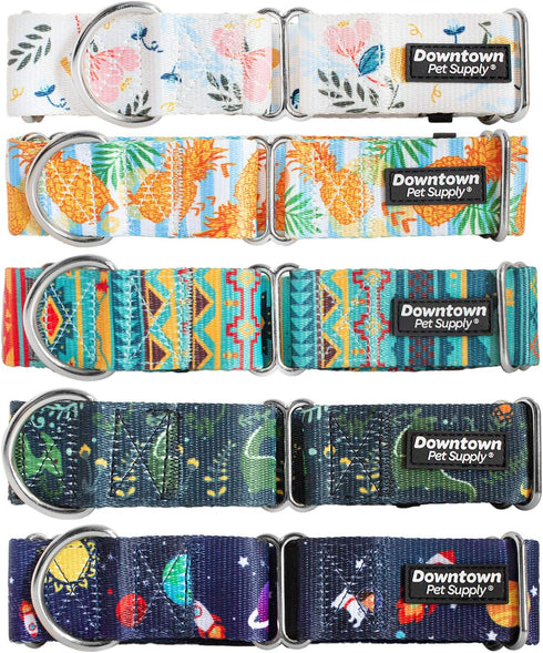 Downtown Pet Supply Martingale Collar for Dogs, Big Wide Thick Dog Training Collar, Escape-Proof, Space, Large
