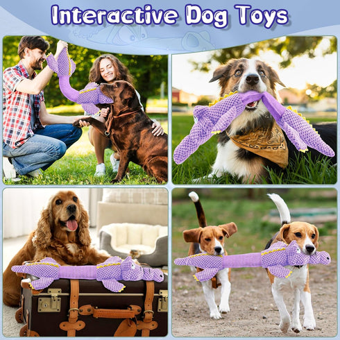 WOWBALA Interactive Tug of War Dog Toys for Small to Large Breeds-Squeaky Plush Puppy Toys with Crinkle Paper, Stuffed