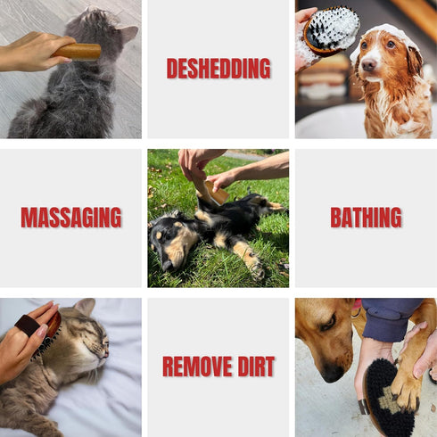 Wooden Pet Grooming Kit for Short-Haired & Double-Coated Dogs Cats Horses- Includes Bristle Brush, Massage Brushes