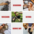 Wooden Pet Grooming Kit for Short-Haired & Double-Coated Dogs Cats Horses- Includes Bristle Brush, Massage Brushes