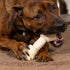 Pet Factory 100% Made in USA Beefhide 6" Knotted Bones Dog Chew Treats - Natural Flavor, 12 Count