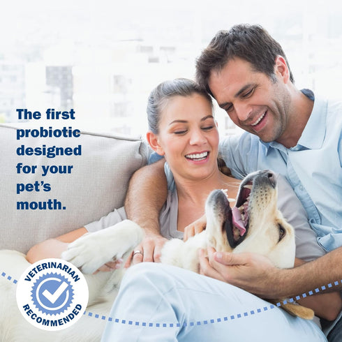 Probiora Dog Probiotic Supplement for Oral Care | 30 Servings Jar | Reduces Bad Breath & Supports Dental Health
