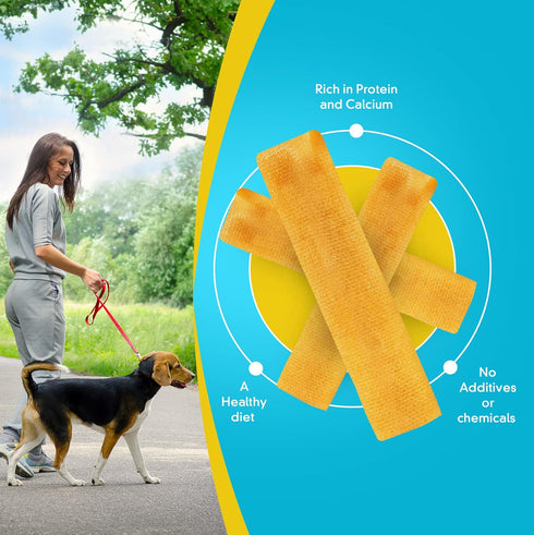 Medium Himalayan Yak Chews - Pack of 4, 100% Natural Yak Cheese Dog Chews for All Breeds & Sizes