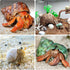 Hermit Crab Shells Medium and Large, 12PCS Growth Turbo Seashells for Small Medium and Large Crabs.