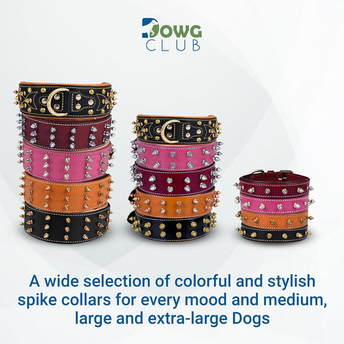 Genuine Leather Spike Dog Collar | Full Grain, Heavy Duty for Medium, Large, XL Breeds (1.75" Wide, Black)