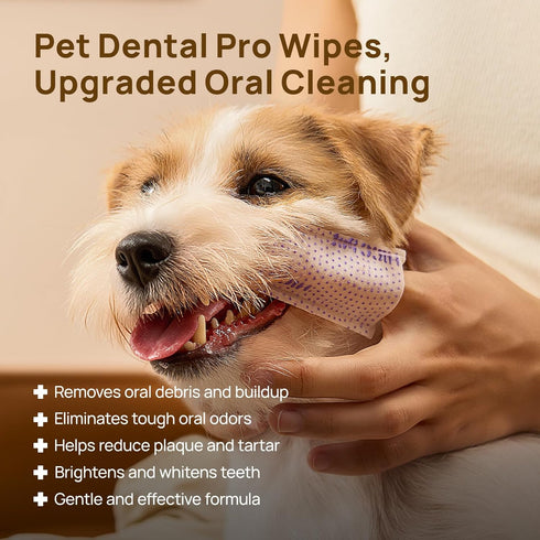Vet-Recommended 50 Count HICC PET Pro Dog Teeth Cleaning Wipes, Finger Toothbrush for Dogs & Cats, No-Rinse Dental Care