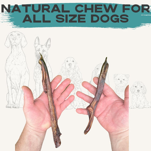 100% All Natural Beef Bully Sticks- Premium Grass Fed Beef Dog Chews- Smoked, Healthy Small Bully Sticks Sourced