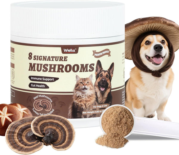 Wellix Mushroom Powder Supplements for Dogs & Cats - Lumps & Bumps