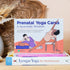 Set WorkoutLabs Prenatal Yoga & Ayurveda Cards Healthy and Conscious Pregnancy Guide with Ancient Wisdom in a Modern