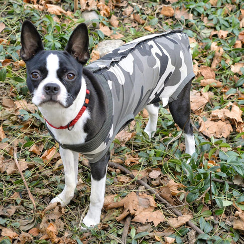 Dog Recovery Suit, Abdominal Wound Puppy Surgical Clothes, Post-Operative Vest, Camouflage