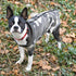Dog Recovery Suit, Abdominal Wound Puppy Surgical Clothes, Post-Operative Vest, Camouflage
