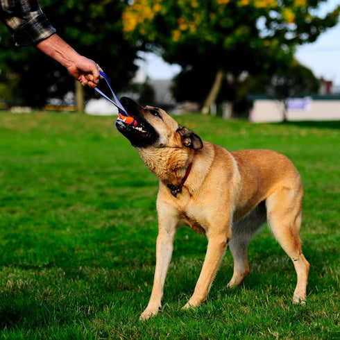 60-100 lbs 3-inch Chuckit! Ultra Tug Dog Toy - Ultra Ball on a Durable Nylon Cord Handle - Fetch and Tug-of-War Toy