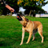 60-100 lbs 3-inch Chuckit! Ultra Tug Dog Toy - Ultra Ball on a Durable Nylon Cord Handle - Fetch and Tug-of-War Toy