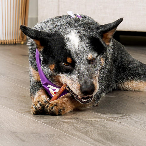 Combo Chews Rawhide/Pork Flavor Stick, 5" w/Chicken Meat Wrap Dog Chew Treats - 22 Count/1 Pack