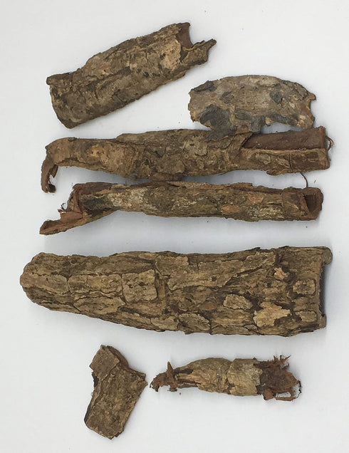 Awesome Aquatic Premium Catappa Indian Almond Bark Rolls & Pieces, 50 G, Natural Habitat Tannin Producing for Shrimp &