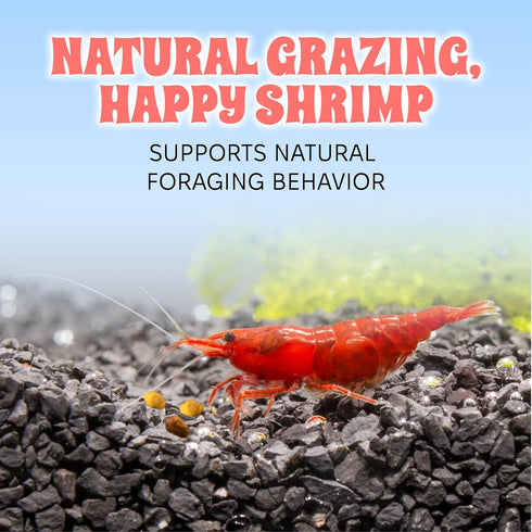 100% 2 oz Snout and Shell Bee Pollen Nuggets for Shrimp Tanks Natural Shrimp Superfood Supplement Boosts Color, Molting