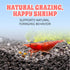 100% 2 oz Snout and Shell Bee Pollen Nuggets for Shrimp Tanks Natural Shrimp Superfood Supplement Boosts Color, Molting