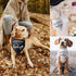 2 Packs Our Humans are Getting us a Baby Dog Bandana Pregnancy Announcement Dog Scarf Accessories Gender Reveal Baby