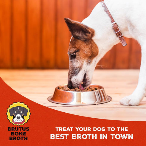 Brutus Bone Broth for Dogs, All Natural, Made in USA, Glucosamine & Chondroitin, Hydrating Dog Food Topper (Pork,