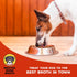 Brutus Bone Broth for Dogs, All Natural, Made in USA, Glucosamine & Chondroitin, Hydrating Dog Food Topper (Pork,