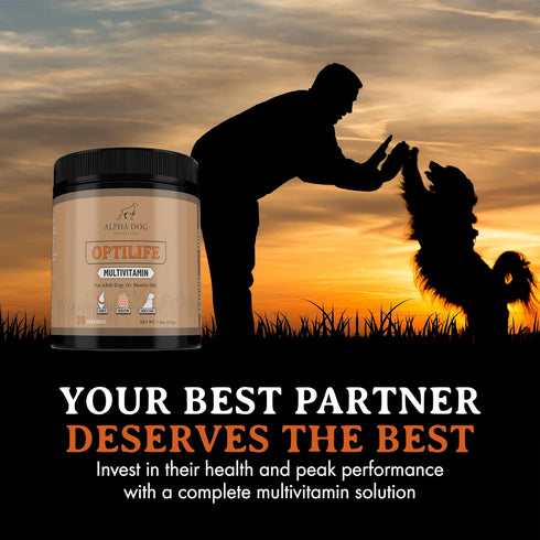 OptiLife Multivitamin for Adult Dogs, Probiotics, Allergy Support, Joint Support, Powder Supplement (30 Servings)