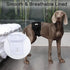Diapers,5 Pack JoyDaog Reusable Dog Belly Bands for Male Dogs Premium Washable Dog Diapers Male Puppy Nappies Wrap,S