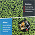 PAGOW 10pcs Fish Feeding Rings Set - Floating Aquarium Plant Corral, Round & Square Fish Feeder Rings