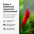 5lb Brightwell Aquatics FlorinVolcant Rio Escuro-F Volcanic Substrate for Freshwater Planted & Shrimp Aquariums Boosts