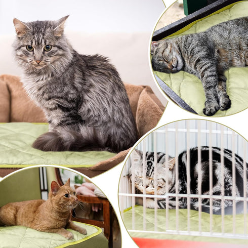4 Pack Self Heating Cat Pad, Self Warming Dog Mat, Extra Warm Thermal Pet Pad, Washable (Beige, 16 x 20 Inch)