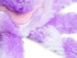 Orla The Octopus Plush Dog Toy - Large