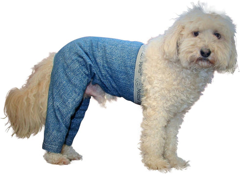 Best Dog Walking Pants for XL Extra-Large Dogs