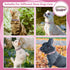 Reflective Dog Collar with Cute Paw Rivet Studded, Soft PU Leather Adjustable for Small Medium Large Dogs Cats, Pink,