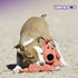LOOFA DOG TOY