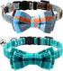 Joytale Upgraded Cat Collar with Bow Tie, Breakaway Collars with Bells, 2 Pack Safety Plaid Kitten Collars, Haze