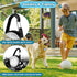 4 Modes Dog Lights for Night Walking, IP68 Waterproof Collar Light, High Capacity Rechargeable Clip On for Night Time
